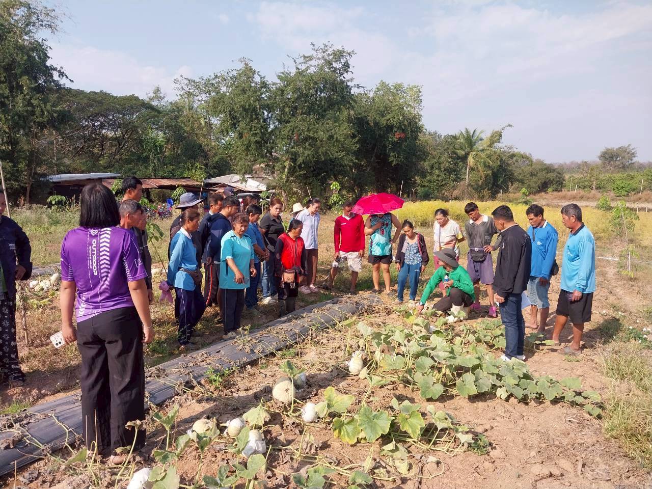title - จัดฝึกอบรมเกษตรกรภายใต้โครงการระบบส่งเสริมการเกษตรแบบแปลงใหญ่ในเขตปฏิรูปที่ดิน ปีงบประมาณ พ.ศ. 2569